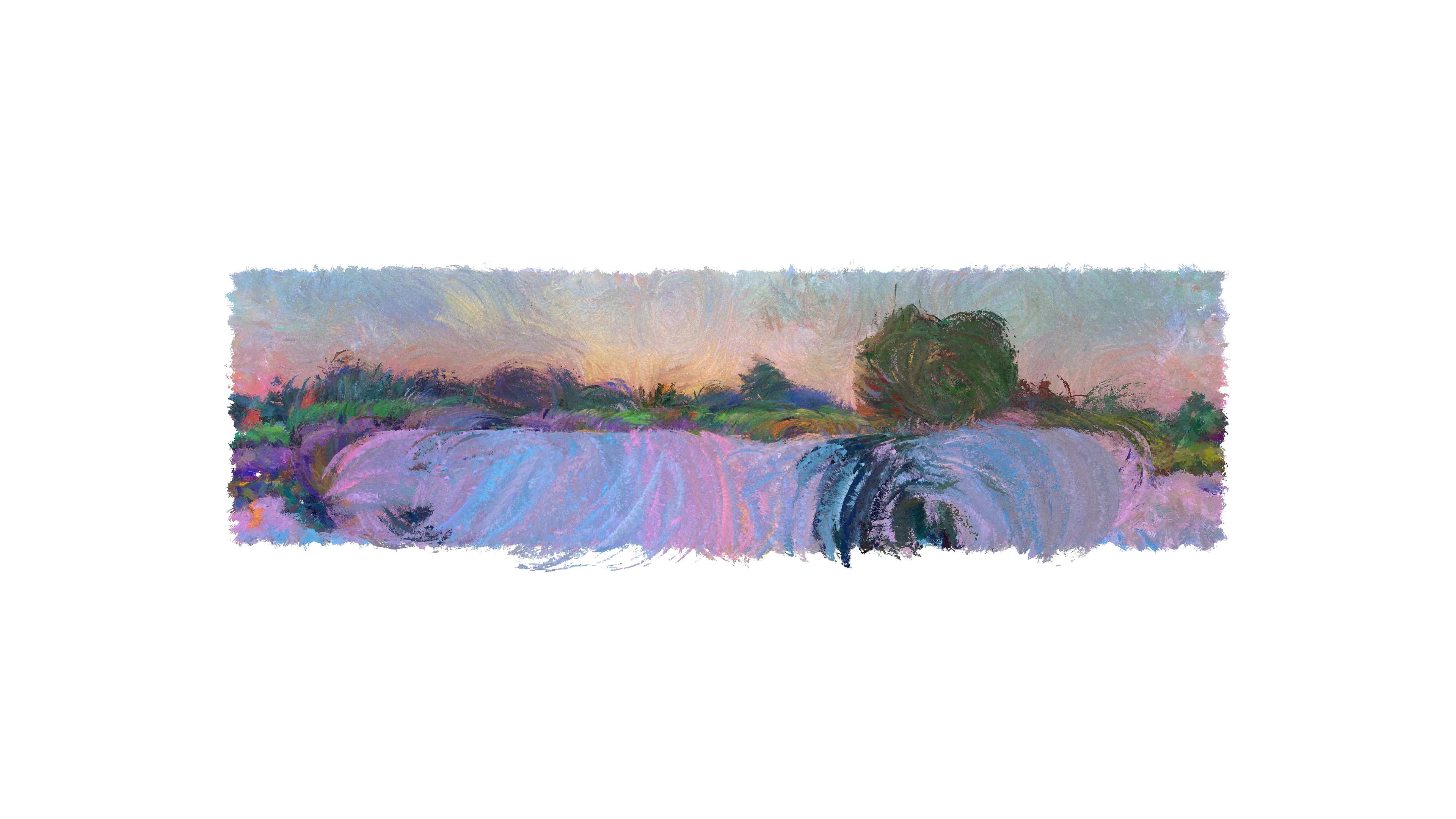 Studies of Artificial Landscapes